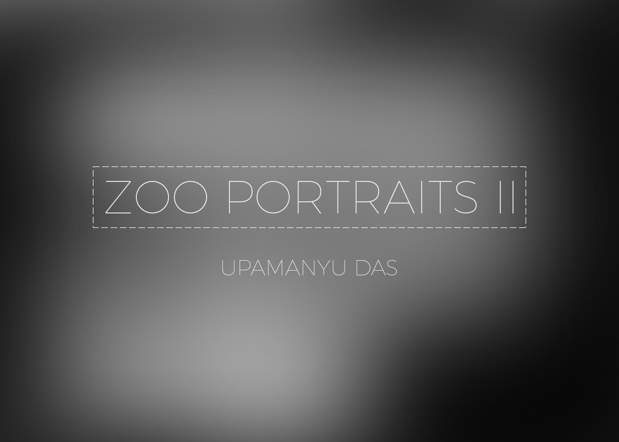  Zoo Protraits II • Upamanyu Das 