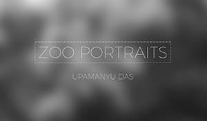 /works/2015/zoo-portraits